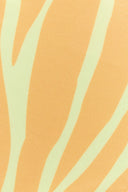 Zara Bikini Bottom | Zebra print swim bottom